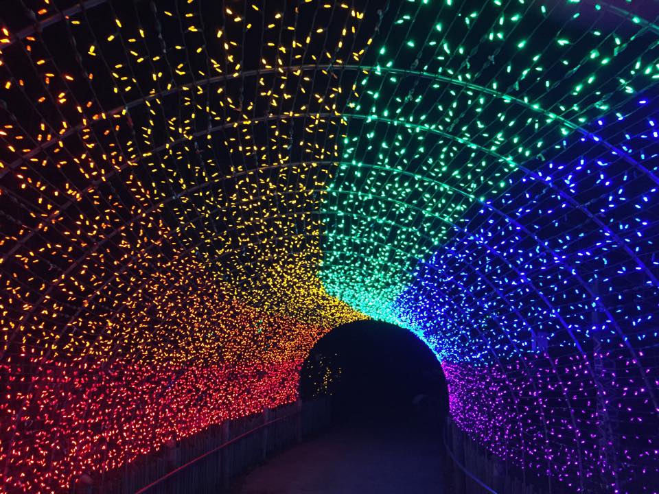 Cincinnati Zoo Festival of Lights